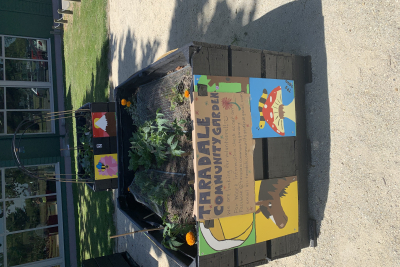 Garden gifted to the Taradale community by high school students